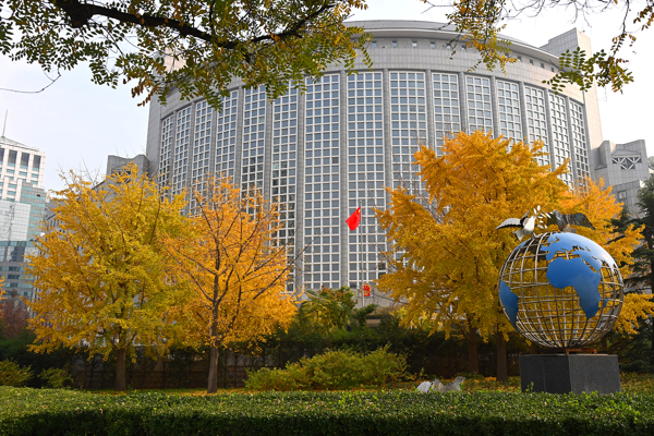 Çin: OPCW’nin küresel güvenlik yönetişimindeki rolü artmalı<