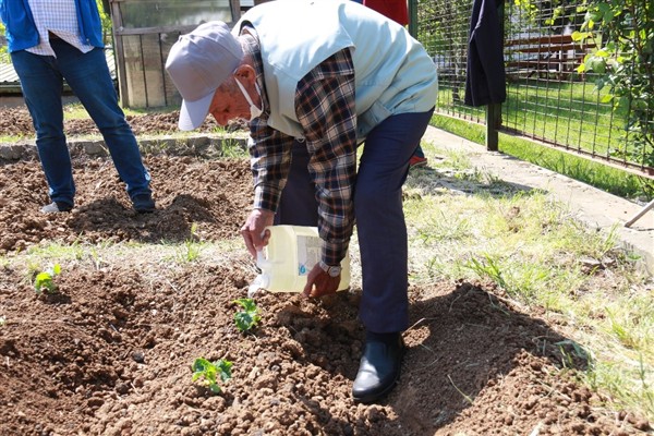 İBB’nin ‘Halk Bostanları’ projesi <