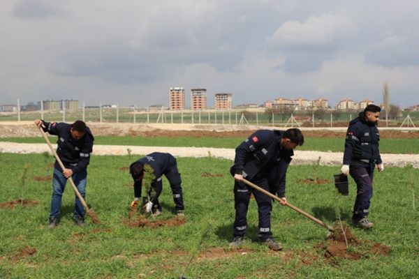 Eskişehir’de evlenen çiftler adına fidan dikiliyor<