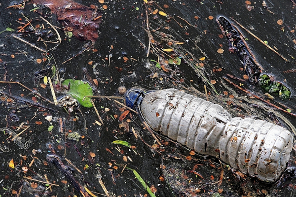Sıfır Atık Projesi’nin uluslararası ödül sayısı 7’ye ulaştı<