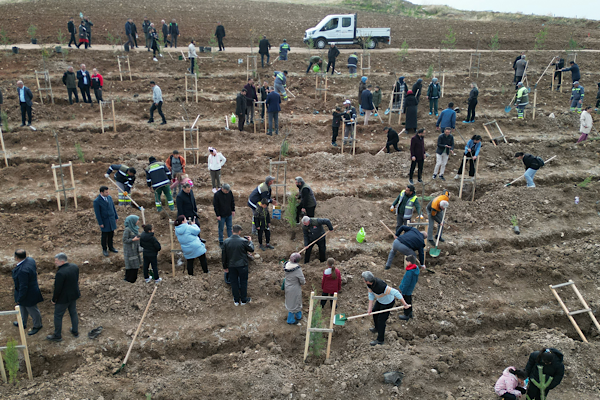 Çorum'da Karbon Yutak Alanları Projesi başladı<