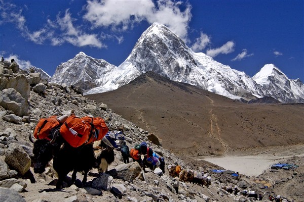 Nepal, Everest'e turizmin artmasıyla 97 zirveye ücretsiz tırmanış imkanı sunuyor<