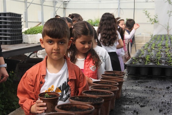 Van’da anaokulu öğrencileri seralarda doğayla buluştu<
