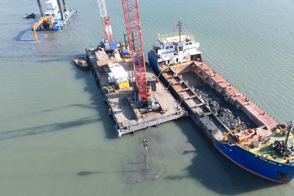 İzmir Körfezi’nde 25 yıl sonra jumbo karides yeniden görüldü<