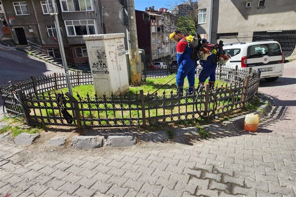 Kağıthane'de çevre düzenleme çalışmalarına devam ediliyor