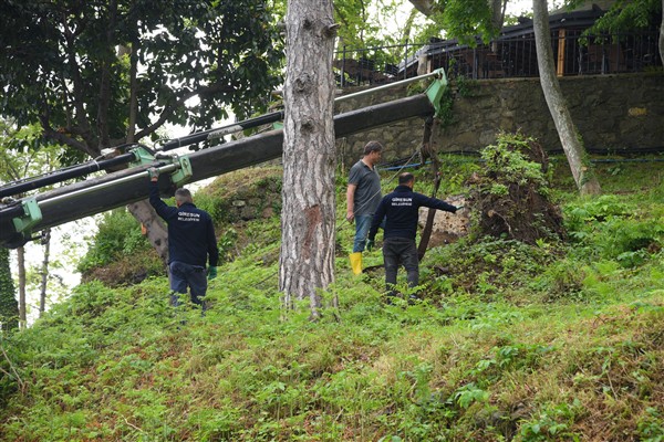 Giresun’da görüntü kirliliğine neden olan ağaç kökleri söküldü <