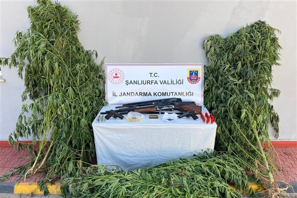 Şanlıurfa'da uyuşturucu operasyonu