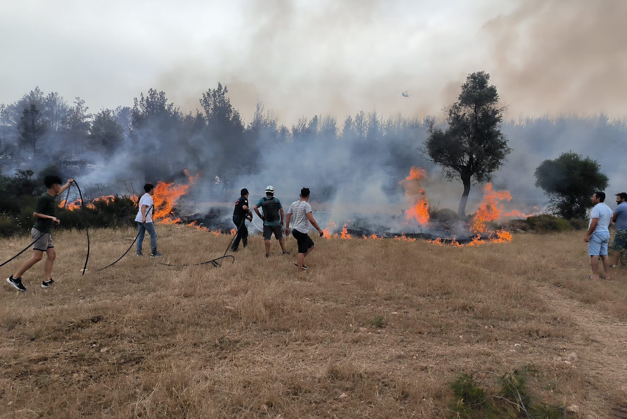 Muğla Büyükşehir ekipleri 6 ayda 380 anız yangınına müdahale etti<