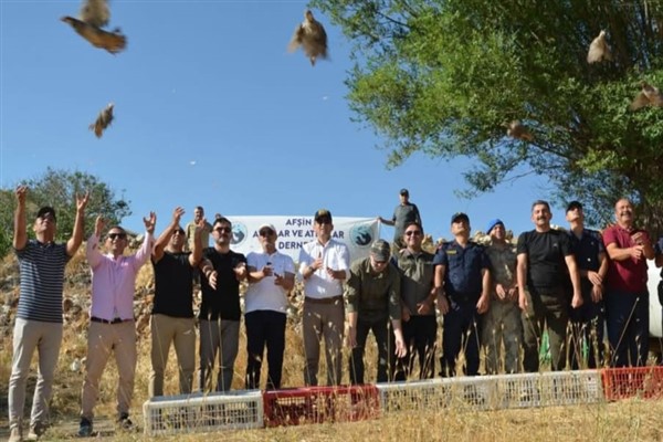 Iğdır Üniversitesi paydaşlığında 10 bin keklik doğaya salınıyor<