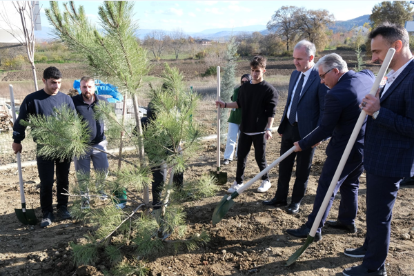 İnegöllü gençler, Yeniceköy'de fidan dikti