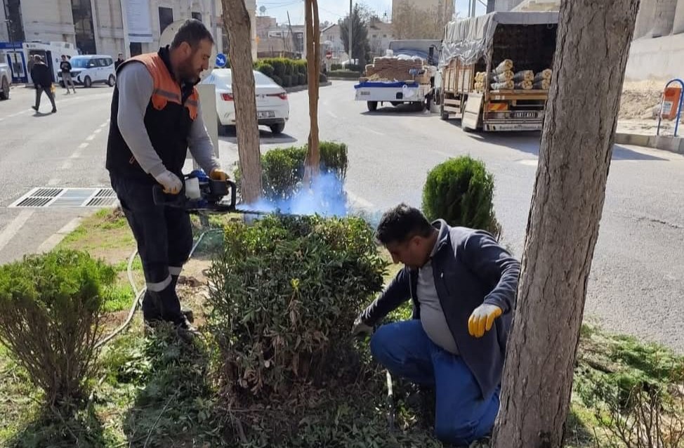 Mazıdağı’nda bahar hazırlıkları: Parklarda budama ve düzenleme çalışmaları başladı