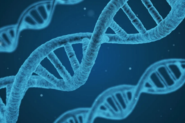 Hitler'in DNA analizi: Otizm, şizofreni ve bipolar bozukluğa yatkındı<