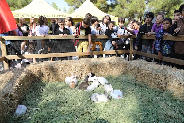 Gaziantep Büyükşehir, Dünya Hayvanları Koruma Günü’nde etkinlik düzenledi