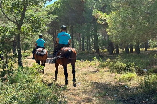  Çanakkale’de 2 ayda 44 orman yangını çıktı