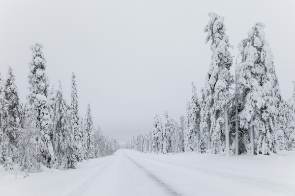 Doğu Karadeniz ve Doğu Anadolu için çığ uyarısı