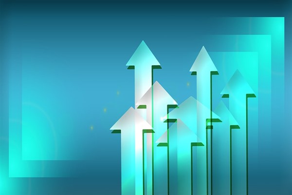 Ofis Yem'in 9 aylık rakamları