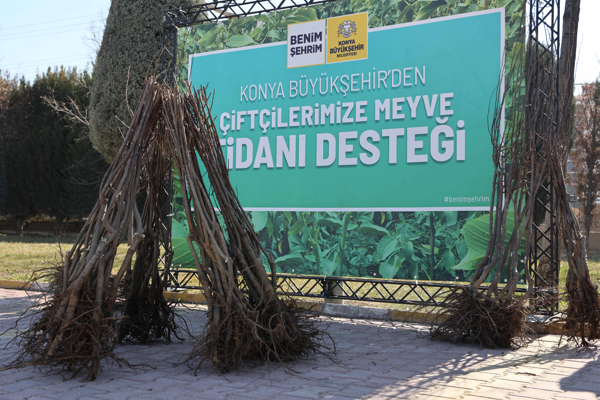 Konya'da çiftçi ve üreticilere yönelik fidan dağıtımı başladı