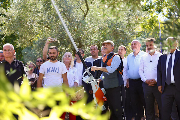 “İki İlçe Tek Miras” Zeytin Festivali sona erdi