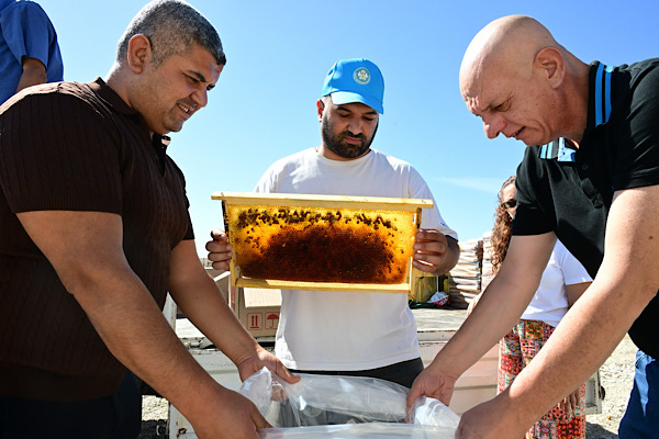 Manisa’da arıcılar için bal peteği koruma projesi hayata geçirildi