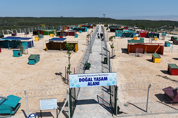 Eskişehir’den sokak hayvanları için bağış kampanyası <
