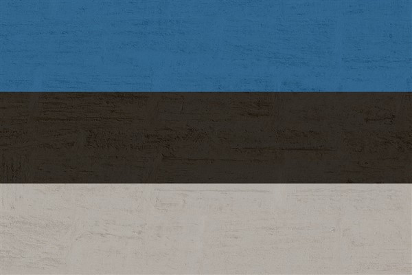 Estonya Dışişleri Bakanlığı, Rusya'nın Maslahatgüzarını çağırdı<