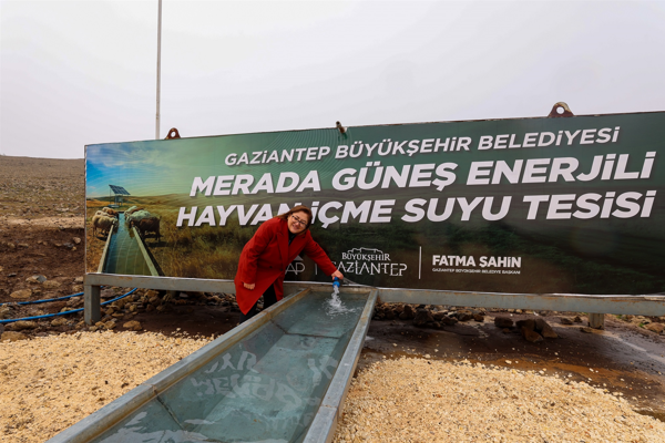 “Merada Hayvanlar Refah İçinde Suyla Buluşuyor Projesi” kapsamında destekler sürüyor<