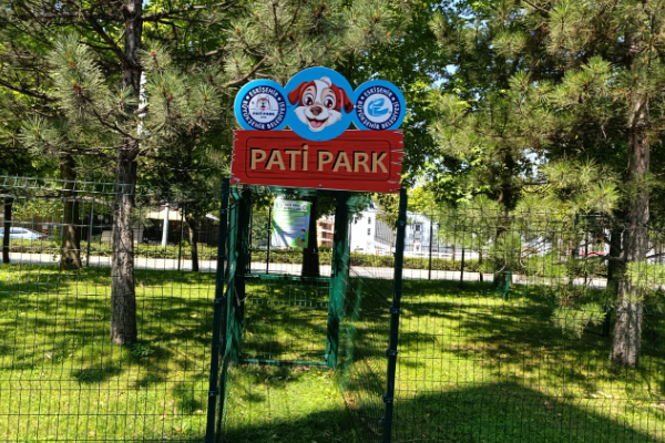 Eskişehir'de evcil hayvanlar için Pati Park yapıldı<