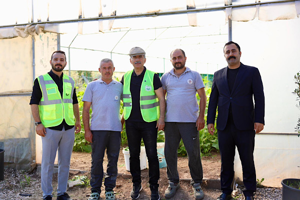 Gemlik Belediyesi'nin seralarında ilk hasat yapıldı