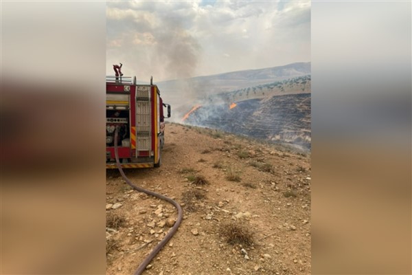 Birecik'te orman yangını