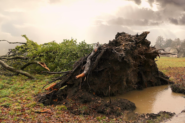 Kocaeli için kuvvetli rüzgar ve fırtına uyarısı