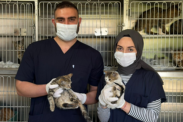 Karabük’te sahipsiz hayvanlar için kış hazırlıkları tamamlandı<