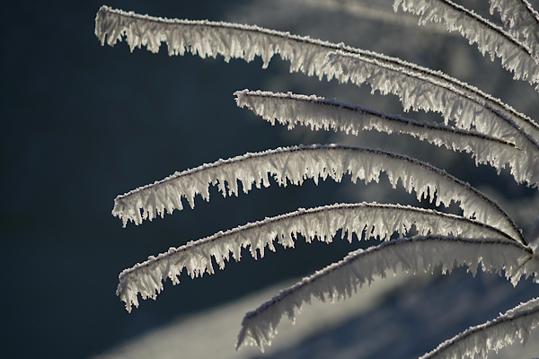 Van’da buzlanma, don ve kuvvetli rüzgar uyarısı<