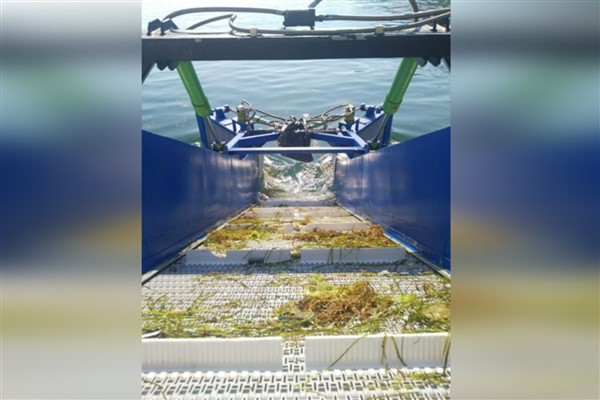 Bursa Büyükşehir Belediyesi'nden deniz temizliği