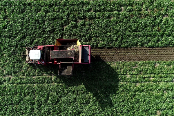Mezra Ziraat 2025 yılında 22 bin 500 dekara ulaştı