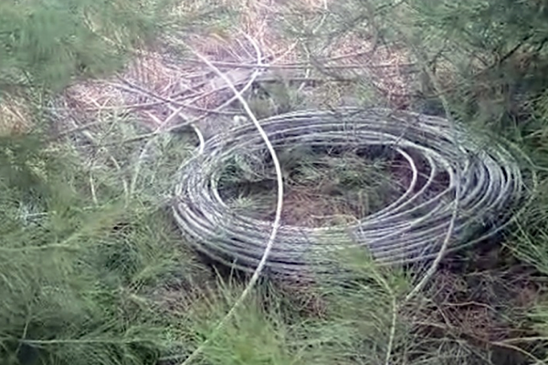Şanlıurfa’da direk ve kablo hırsızlığı enerji kesintisine yol açtı
