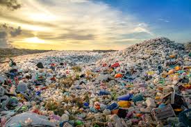 Japon keşfi, denizdeki plastik sorununa çözüm olabilir<