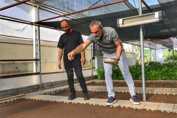 Kayapınar Belediyesi kış çiçeklerinin ekimine başladı 