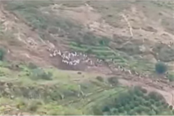 Sudan'daki heyelanda binden fazla kişi hayatını kaybetti