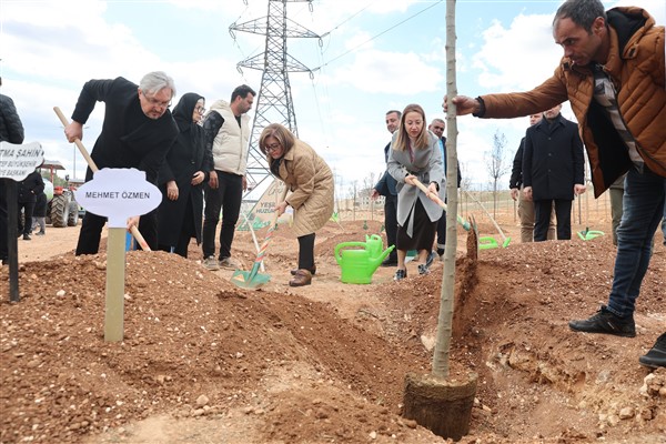 Gaziantep Büyükşehir, 330 bin metrekare alanı ağaçlandırdı