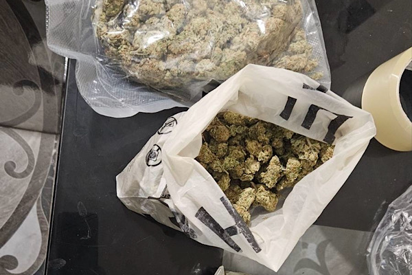 Bulgaristan’da Montana ve Lom bölgelerinde operasyon düzenlendi<