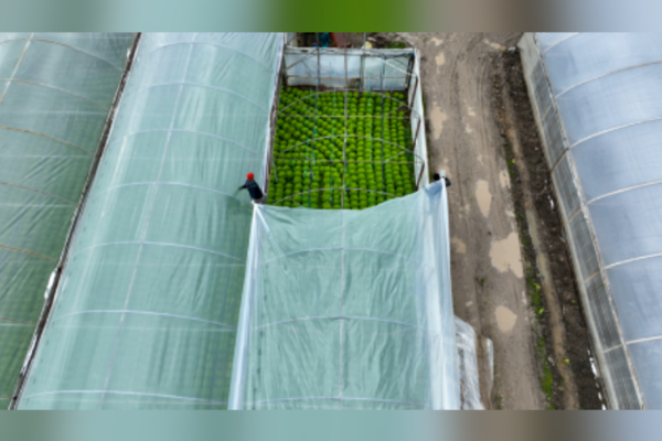 Büyükşehir'den çiftçilere yönelik destek<