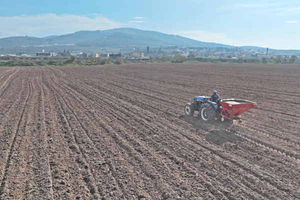 Akhisar'da buğday ve arpa ekimi yapıldı