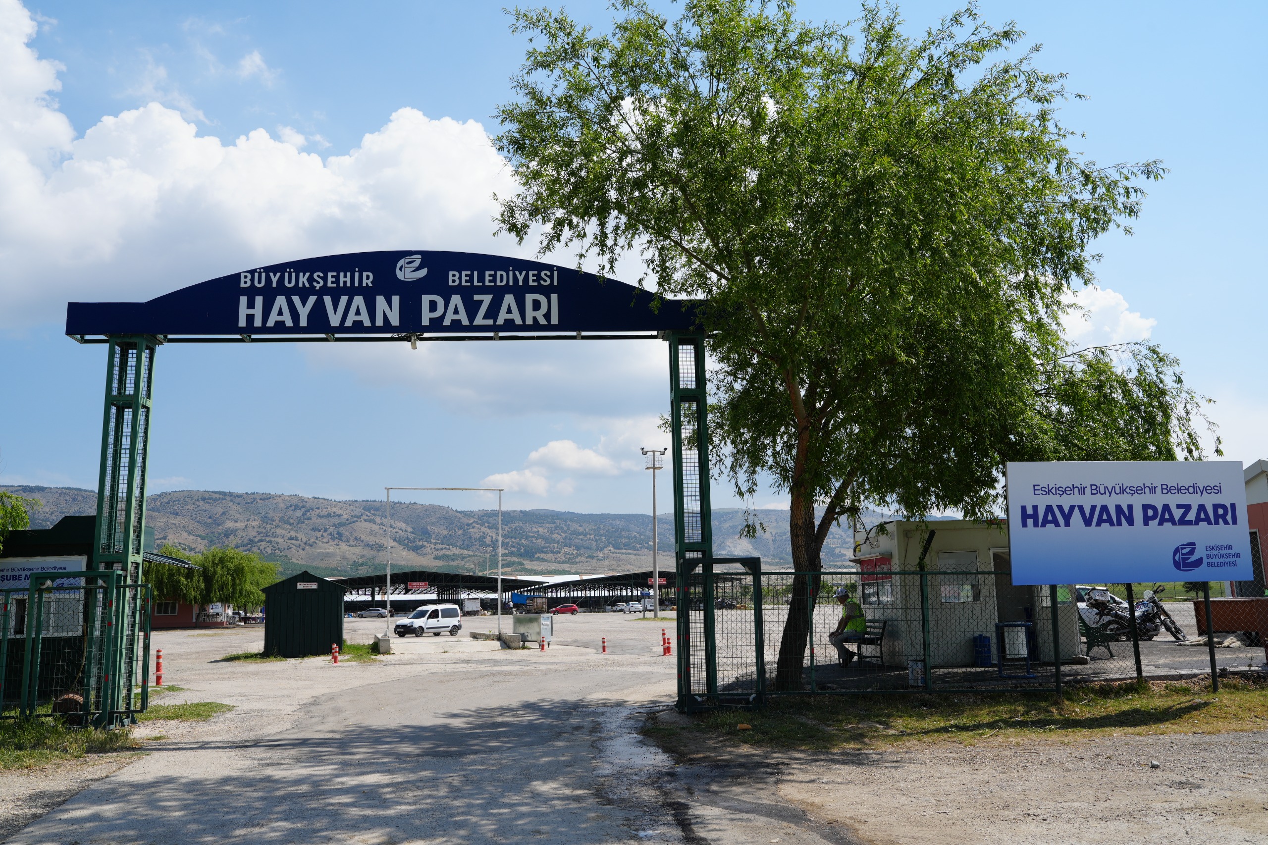 Eskişehir Hayvan Pazarı, Kurban Bayramı için hazır hale getirildi<