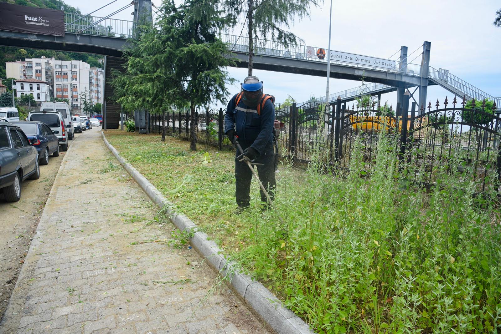 Giresun Belediyesi'nden çevre düzenleme çalışması<