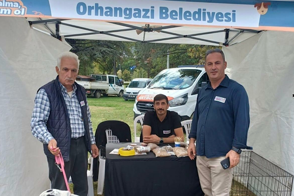 Orhangazi'de sokak hayvanları için çalışmalar sürdürülüyor