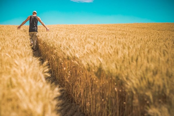 AgroTech AI faaliyete geçti