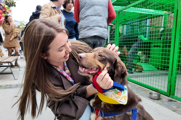 Konak’ta 11 kedi ve köpek sahiplendirildi<