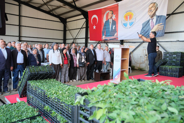 Adana Aladağ’da, üreticilere 400 bin domates fidesi desteği<