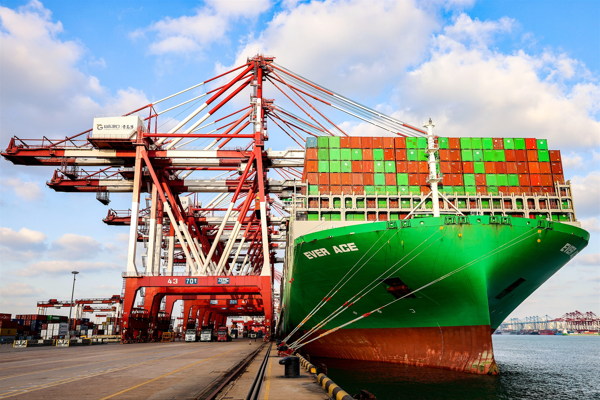 Xi’nin ekonomi düşüncesi konusundaki TV programı kitaplaştırıldı<