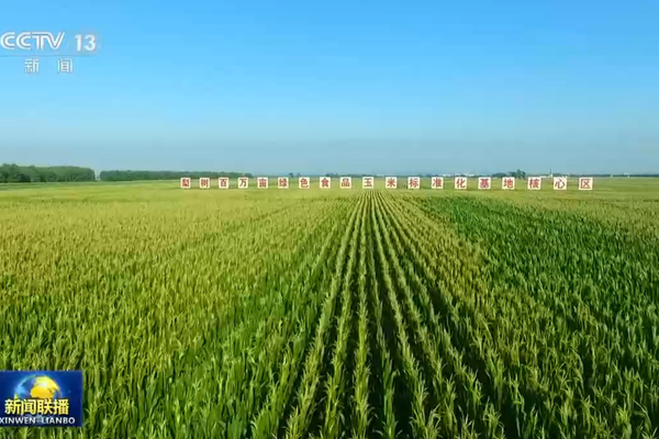Çin ekonomisinin yüksek kaliteli büyümesine Yeni Kalkınma Anlayışı yön veriyor<
